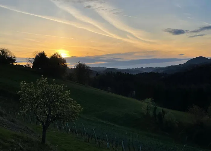 Am Weinberg Krast 公寓